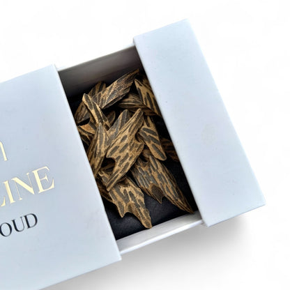Tiger Oud