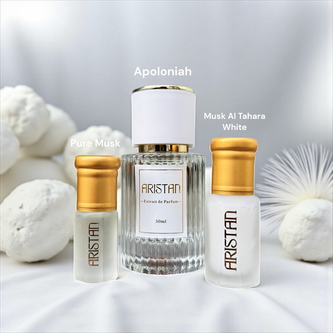 Powder Cloud Bundle